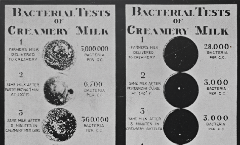 Bacterial Tests of Milk, Augustus C. Long Health Sciences Library, Columbia University.