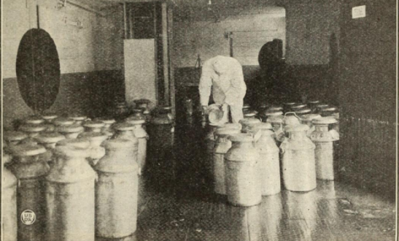 Milk Plant 11, U.S. Department of Agriculture, National Agriculture Library.