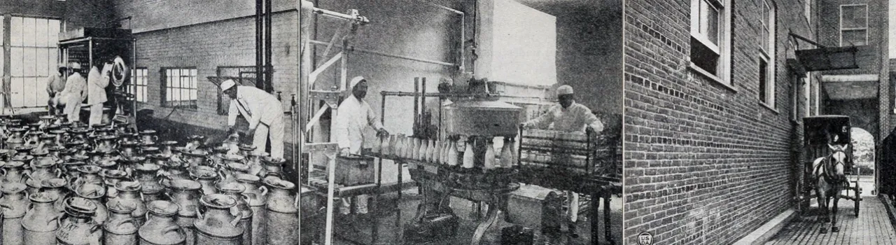 collage black and white photo - horse carriage, milk bottling, and workers in milk factory